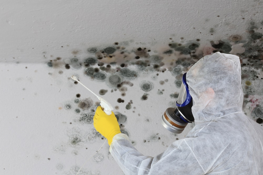 A,Man,Removing,Mold,Fungus,With,Respirator,Mask